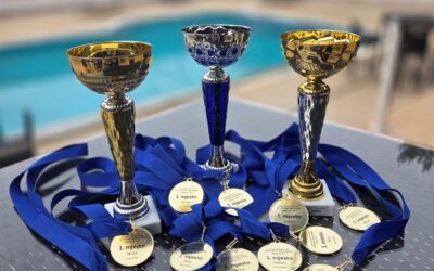 20. FESTIVAL MATEMATIKE U PULI