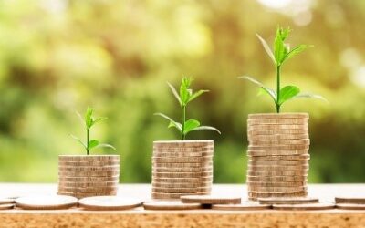 ČAROLIJA ZEMLJE DOBILA FINANCIJSKU POTPORU MINISTARSTVA ZNANOSTI, OBRAZOVANJA I MLADIH